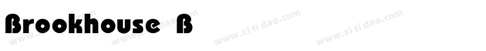 Brookhouse Bold Italic字体转换